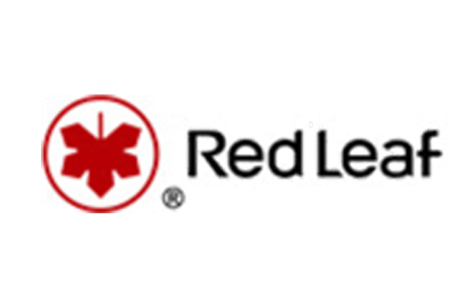 6REDLEAF